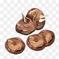 水彩荸荠-空若网 水彩荸荠-空若网