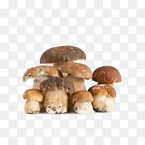 Ä¢¹½-¿ÕÈôÍø Ä¢¹½-¿ÕÈôÍø