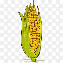 蔬菜-空若网 蔬菜-空若网