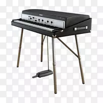 ���ָ��ٵ�������.����-������