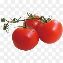 ������-������