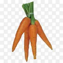 胡萝卜美食蔬菜-空若网 胡萝卜美食蔬菜-空若网
