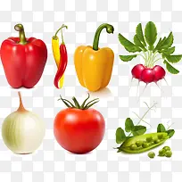 矢量蔬菜-空若网 矢量蔬菜-空若网