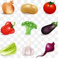 矢量元素蔬菜-空若网 矢量元素蔬菜-空若网