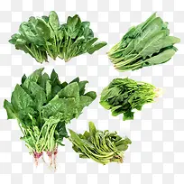 蔬菜元素下载-空若网 蔬菜元素下载-空若网