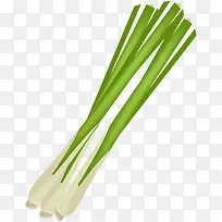 卡通手绘蔬菜装饰海报设计葱-空若网 卡通手绘蔬菜装饰海报设计葱-空若网