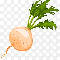 卡通手绘蔬菜装饰海报设计萝卜-空若网 卡通手绘蔬菜装饰海报设计萝卜-空若网