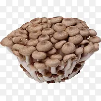 Ģ��-������