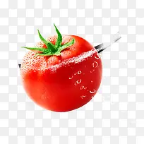 蔬菜西红柿-空若网 蔬菜西红柿-空若网