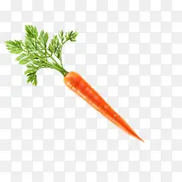 ºúÂܲ·-¿ÕÈôÍø ºúÂܲ·-¿ÕÈôÍø