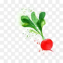 卡通水彩蔬菜-空若网 卡通水彩蔬菜-空若网