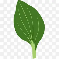 绿色蔬菜叶子-空若网 绿色蔬菜叶子-空若网