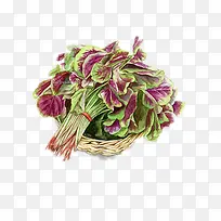 苋菜-空若网 苋菜-空若网