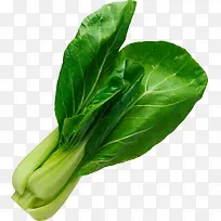 青菜蔬菜绿色青菜油菜-空若网 青菜蔬菜绿色青菜油菜-空若网