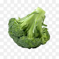 ��Ҭ��-������