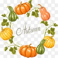 矢量南瓜蔬菜-空若网 矢量南瓜蔬菜-空若网