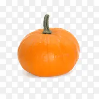 �Ϲ��߲�-������