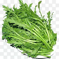 茼蒿实物-空若网 茼蒿实物-空若网