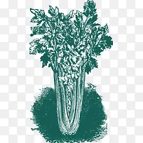 矢量蔬菜-空若网 矢量蔬菜-空若网