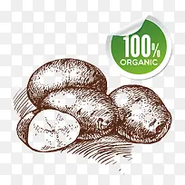 ʸ���ֻ�����-������