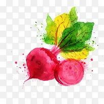 卡通水彩蔬菜-空若网 卡通水彩蔬菜-空若网