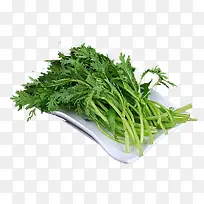 茼蒿蔬菜-空若网 茼蒿蔬菜-空若网