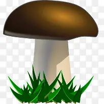 蘑菇-空若网 蘑菇-空若网