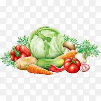 矢量蔬菜-空若网 矢量蔬菜-空若网