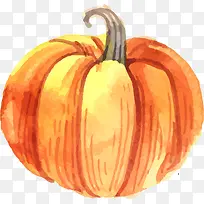 手绘黄色南瓜-空若网 手绘黄色南瓜-空若网