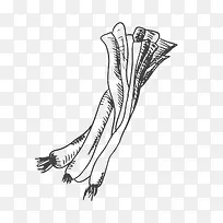 手绘蔬菜-空若网 手绘蔬菜-空若网