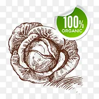 ����-������