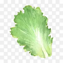 手绘蔬菜-空若网 手绘蔬菜-空若网