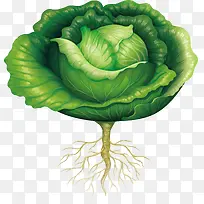 ���ʰ���-������