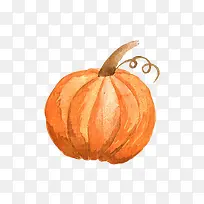 手绘蔬菜南瓜-空若网 手绘蔬菜南瓜-空若网