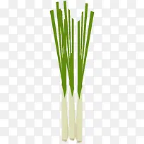 卡通手绘蔬菜装饰海报设计葱-空若网 卡通手绘蔬菜装饰海报设计葱-空若网