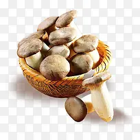 蔬菜蘑菇-空若网 蔬菜蘑菇-空若网