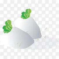 蔬菜类别萝卜草-空若网 蔬菜类别萝卜草-空若网