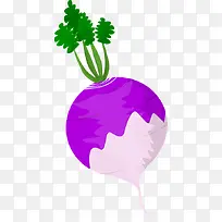 蔬菜类别萝卜青草-空若网 蔬菜类别萝卜青草-空若网