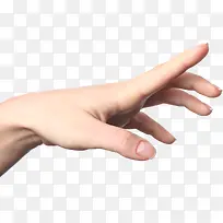 手-空若网 手-空若网