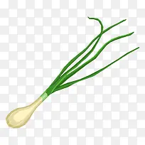 绿色蔬菜扁平大葱-空若网 绿色蔬菜扁平大葱-空若网