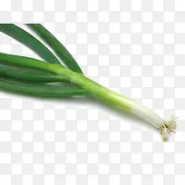 高清大葱-空若网 高清大葱-空若网