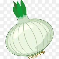 蔬菜圆葱素材-空若网 蔬菜圆葱素材-空若网