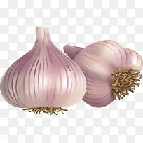 洋葱手绘装饰-空若网 洋葱手绘装饰-空若网