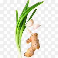 蒜-空若网 蒜-空若网