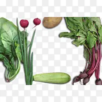 蔬菜-空若网 蔬菜-空若网