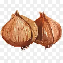 手绘写实蔬菜-空若网 手绘写实蔬菜-空若网