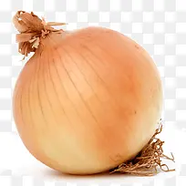 蔬菜洋葱-空若网 蔬菜洋葱-空若网