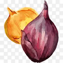 洋葱-空若网 洋葱-空若网