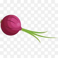 手绘洋葱-空若网 手绘洋葱-空若网