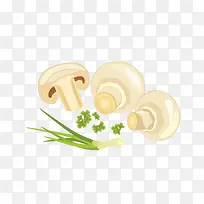 Êß²Ë-¿ÕÈôÍø Êß²Ë-¿ÕÈôÍø